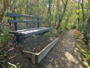 Image of tahuatoreasep22b.jpg