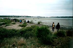 Image of tahuna02onwayback.jpg