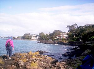 Image of takaford05coastnearend.jpg