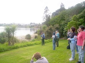 Image of takaford05pupuke2.jpg