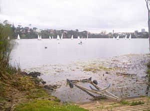 Image of takaford05pupukewalk3.jpg