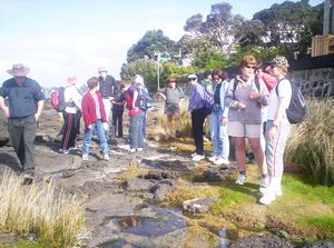 Image of takaford05spring.jpg