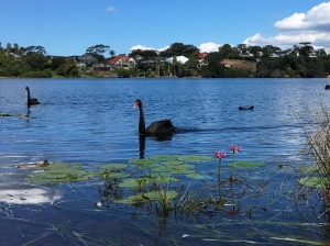 Image of takafordfeb18e.jpg