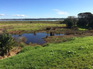 Image of takaport15b.jpg