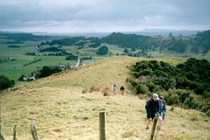 Image of tamahunga02grunthalfway.jpg