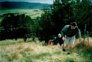 Image of tamahunga02startofgrunt.jpg