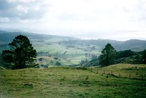 Image of tamahunga02viewpakiri.jpg