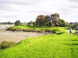 Image of tamakiriverapr06fcoastalreserve.jpg