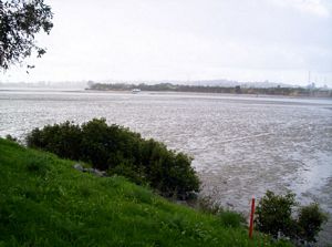 Image of tamakiriverapr06ntamakiriver.jpg