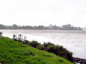 Image of tamakiriverapr06oviewfirstwalk.jpg