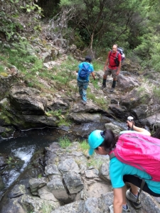 Image of tanekahafeb16b.jpg