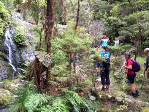 Image of tanekahafeb16d.jpg