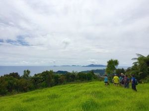 Image of tanekahafeb16g.jpg