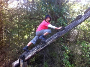 Image of tangihua14e.jpg