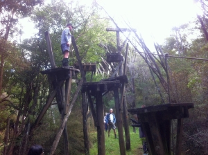 Image of tangihua14f.jpg