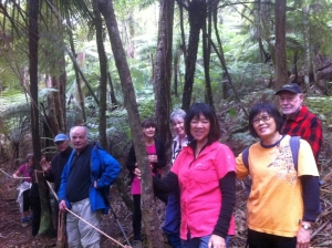 Image of tangihua14h.jpg