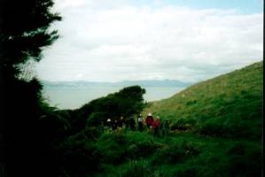 Image of tapapakanga02coasttrack.jpg