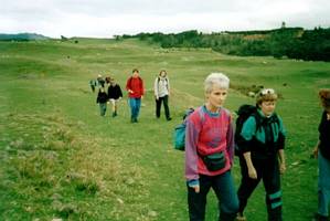 Image of tapapakanga02farm.jpg