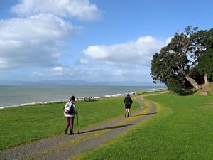 Image of tapapakanga09acsettingout.jpg