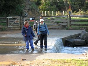 Image of tapapakanga09bgford.jpg