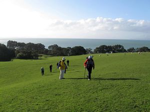 Image of tapapakanga09cbtrack.jpg