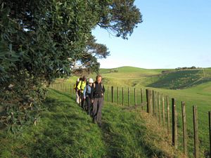 Image of tapapakanga09ejtrack.jpg