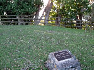 Image of tapapakanga09emgrave.jpg