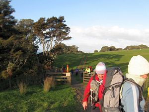 Image of tapapakanga09ettrack.jpg