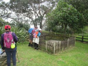 Image of tapapakangasep22m.jpg