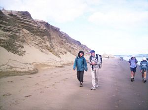 Image of taporaabtc05beachwalk.jpg