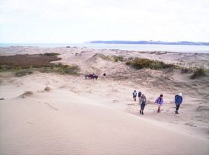 Image of taporaabtc05duneclimb.jpg