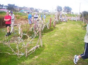 Image of taporaabtc05geraticpark5.jpg