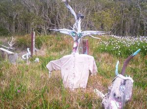 Image of taporaabtc05geraticpark7.jpg