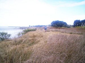 Image of taporaabtc05inlandcoast.jpg