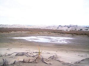 Image of taporaabtc05island3.jpg