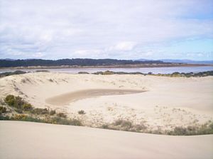 Image of taporaabtc05ridge2.jpg