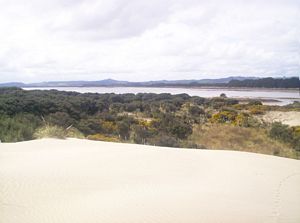 Image of taporaabtc05ridge4.jpg