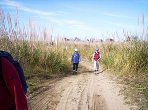 Image of taporaabtc05soonafterstart.jpg