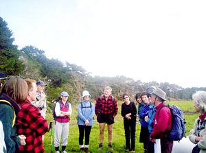 Image of taporaabtc05start.jpg