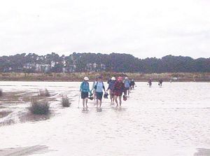 Image of taporaabtc05wadethere3.jpg