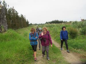 Image of taporaapr23a.jpg