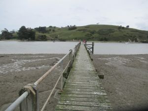 Image of taporaapr23h.jpg