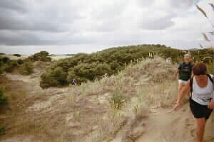 Image of taporacovereddunesq.jpg