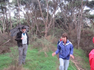 Image of taporajun20g.jpg