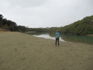 Image of taporajun20h.jpg