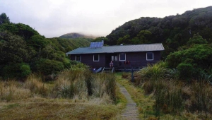 Image of taranakiapr16f.jpg