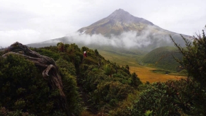 Image of taranakiapr16i.jpg