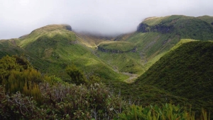 Image of taranakiapr16k.jpg