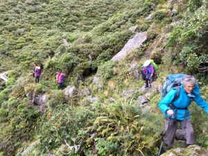 Image of taranakiapr16s.jpg