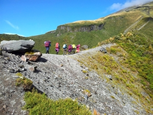 Image of taranakiapr16v.jpg